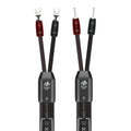 AudioQuest Dragon Full Range